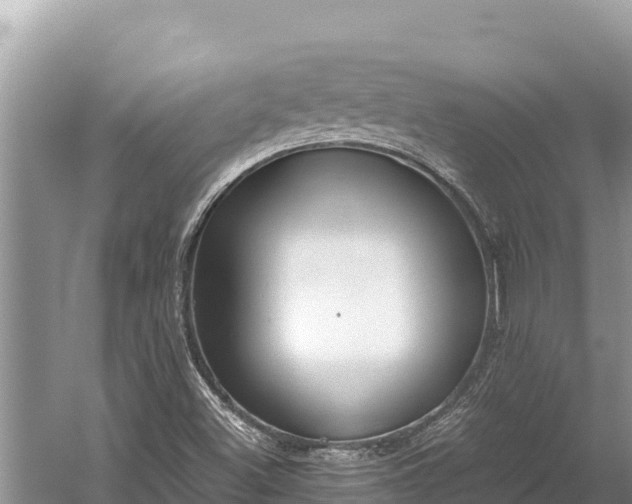 X0000060231500200510311534