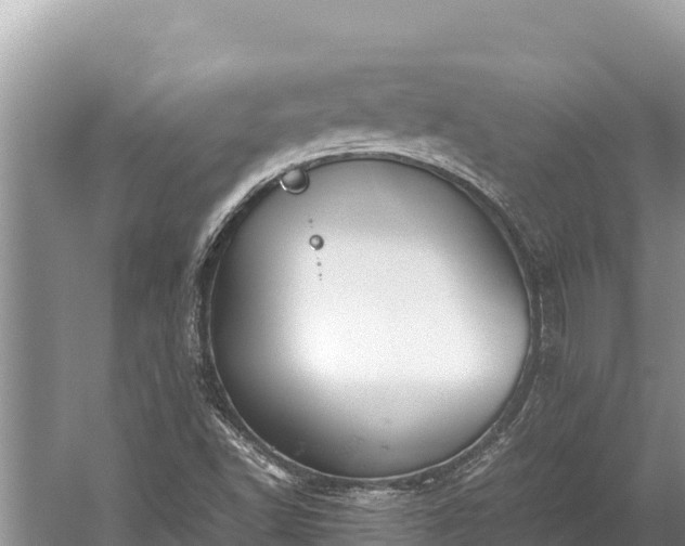 X0000060231502200510311534