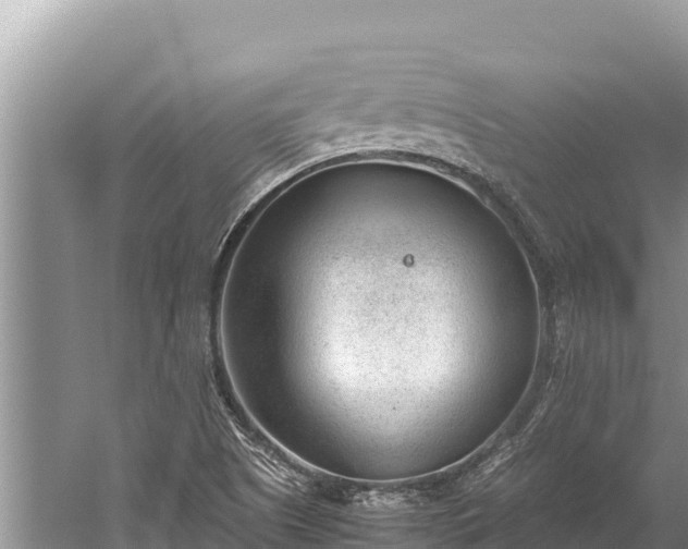 X0000060231505200510311534