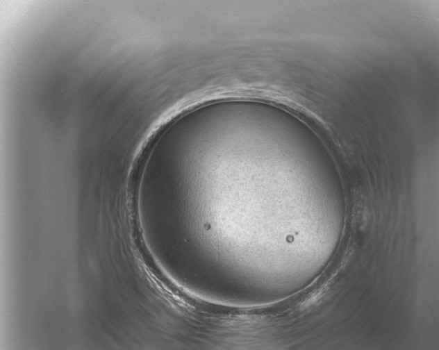 X0000060231506200510311534