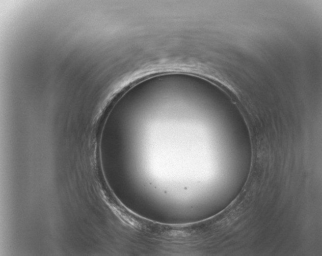 X0000060231507200510311534