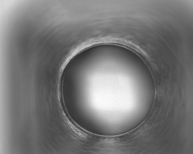 X0000060231512200510311534