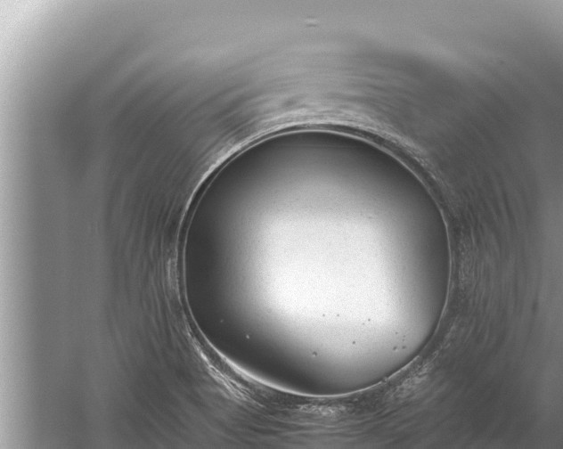 X0000060231513200510311534