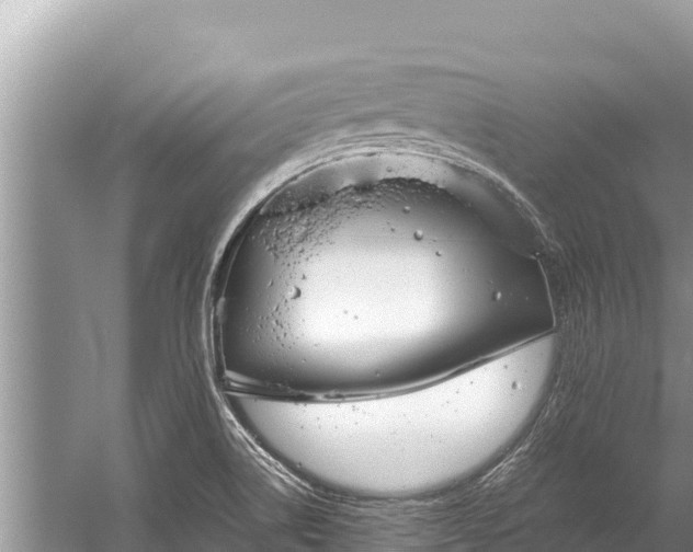 X0000060231514200510311534