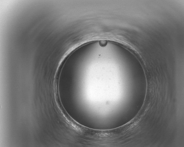 X0000060231517200510311534