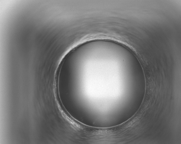 X0000060231518200510311534