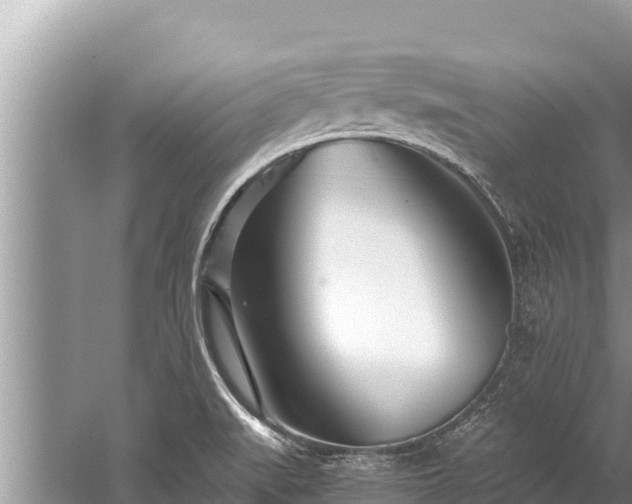 X0000060231519200510311534