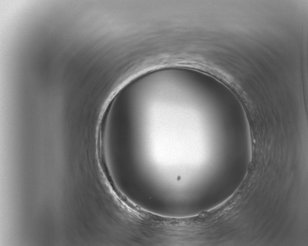 X0000060231520200510311534