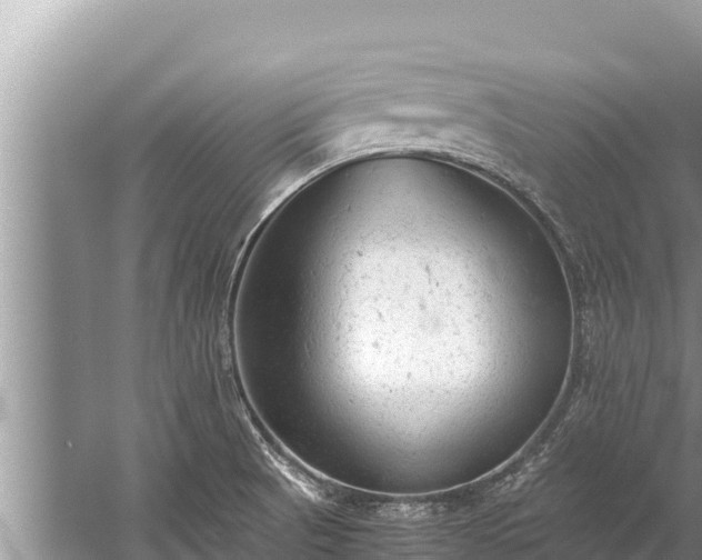 X0000060231521200510311534