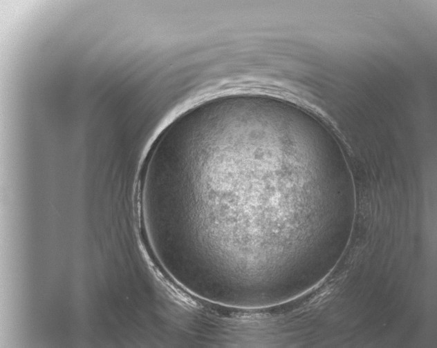 X0000060231522200510311534