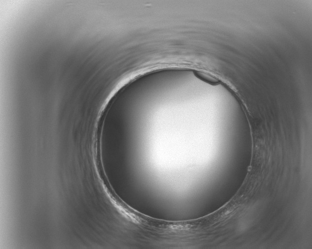 X0000060231523200510311534