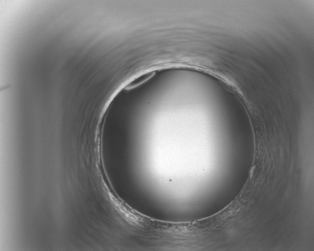 X0000060231524200510311534