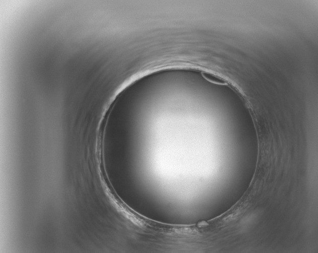 X0000060231526200510311534