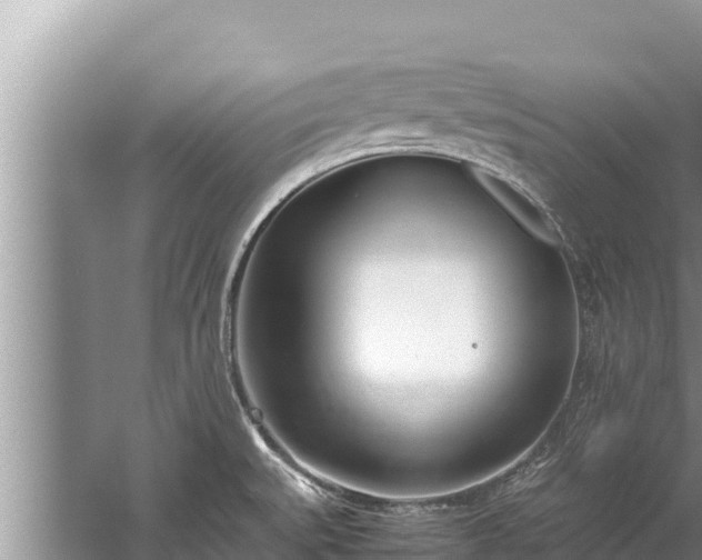 X0000060231527200510311534