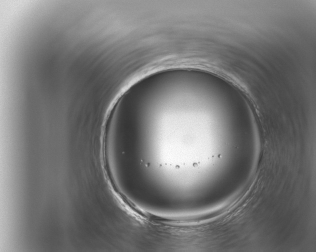 X0000060231528200510311534