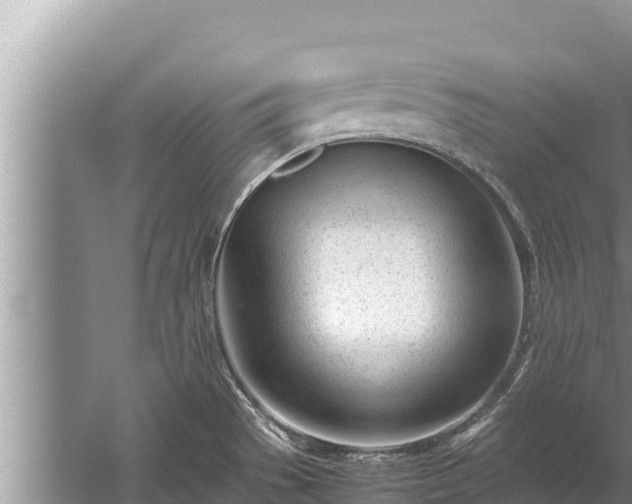 X0000060231529200510311534