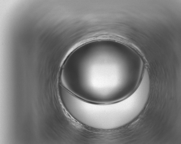 X0000060231530200510311534