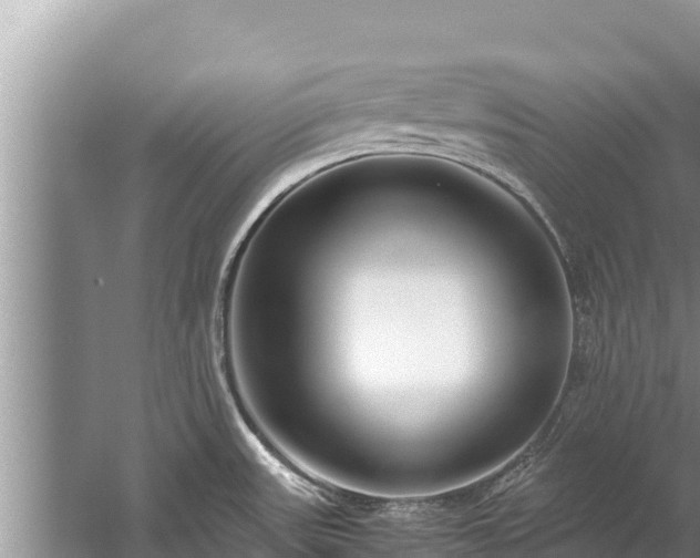 X0000060231531200510311534