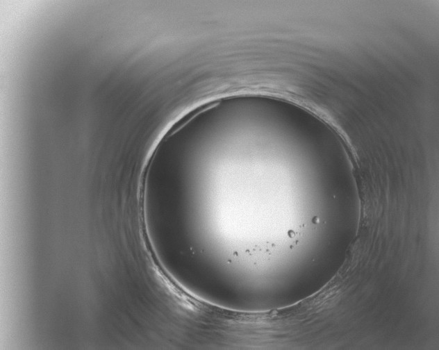 X0000060231532200510311534