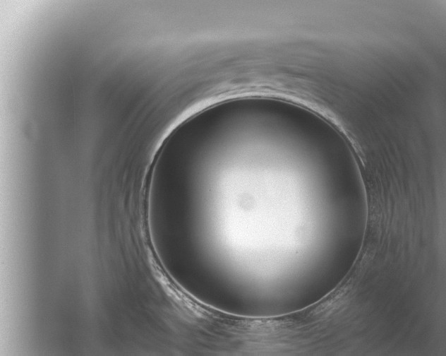 X0000060231534200510311534