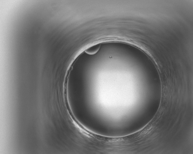 X0000060231535200510311534