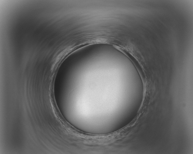 X0000060230001200511041243