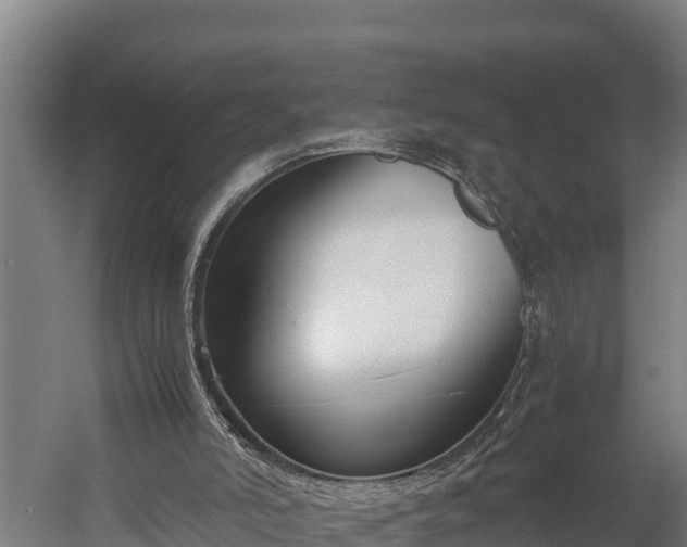 X0000060230006200511041243