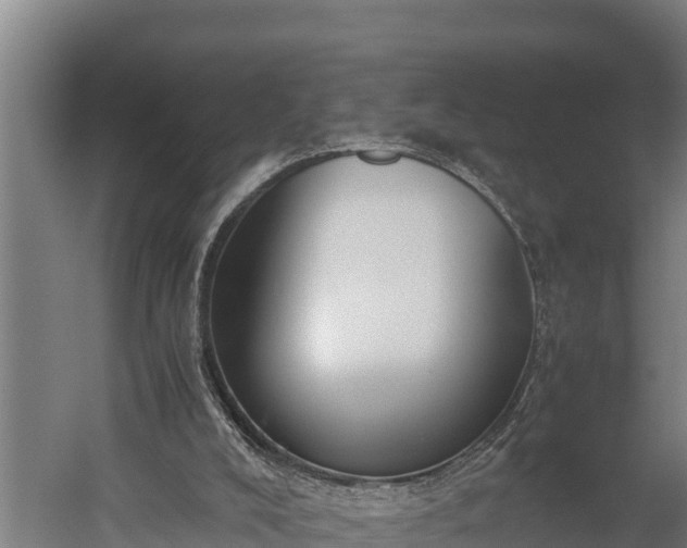 X0000060230008200511041243