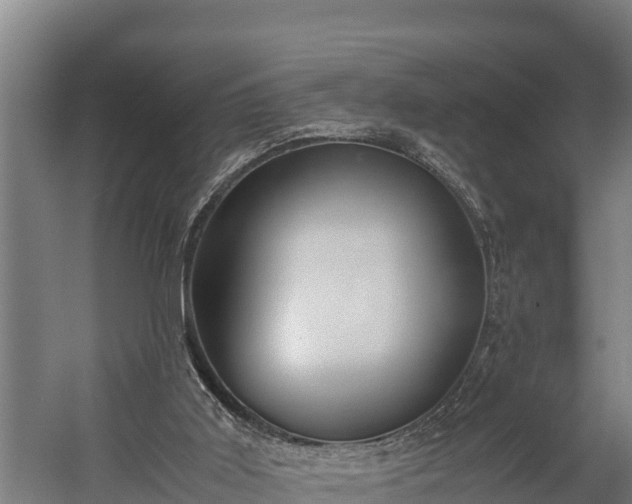 X0000060230011200511041242