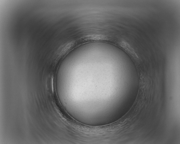 X0000060230014200511041242