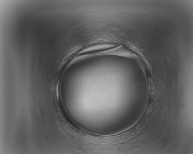 X0000060230019200511041242
