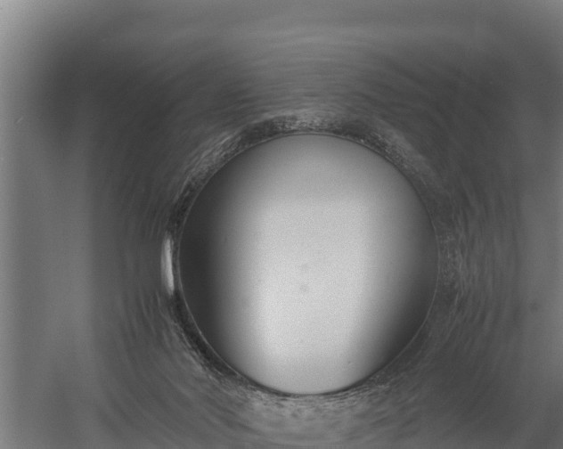 X0000060230022200511041242