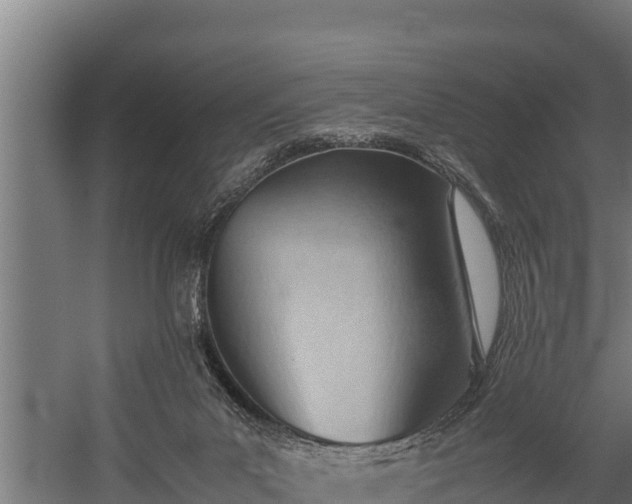 X0000060230023200511041242