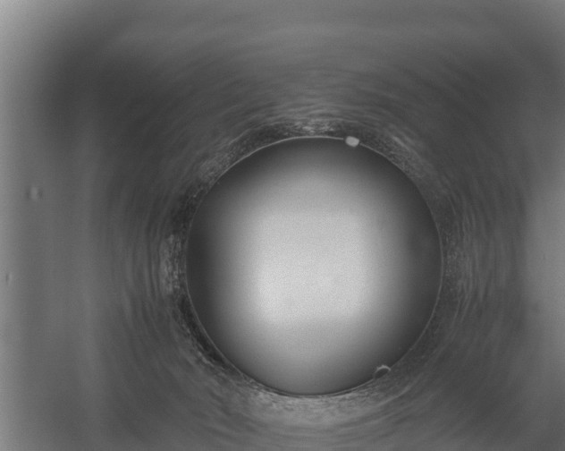X0000060230030200511041242