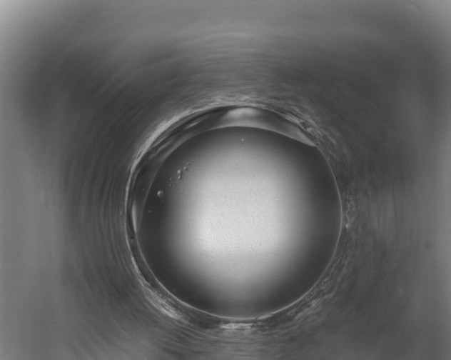 X0000060230052200511041241