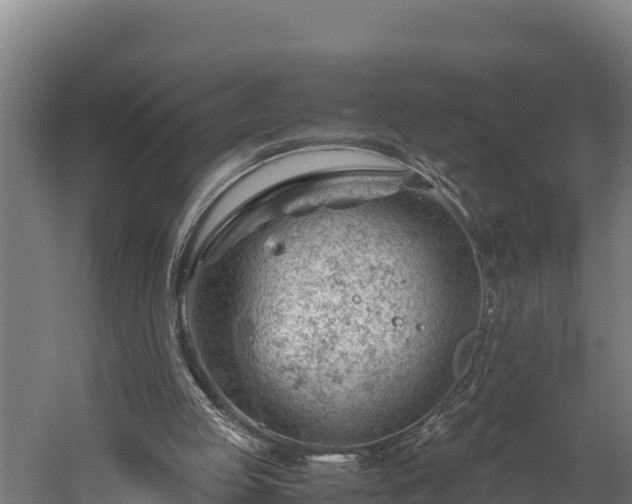 X0000060230053200511041241
