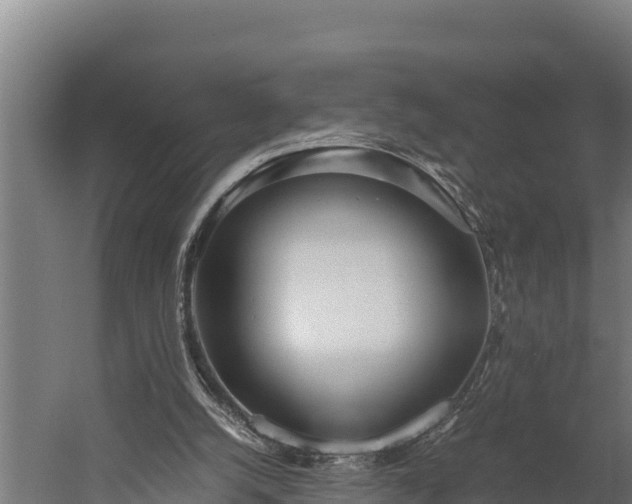 X0000060230056200511041241