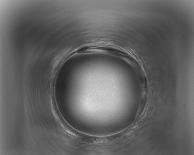 X0000060230097200511041241