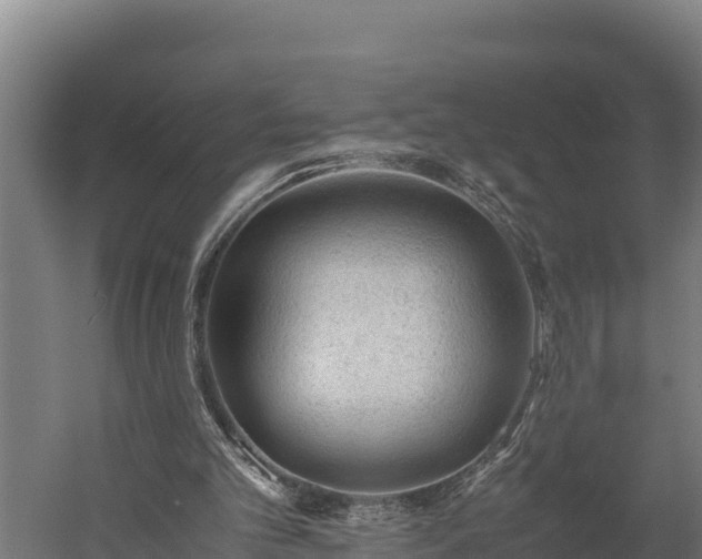 X0000060230101200511041241