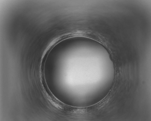 X0000060230102200511041241