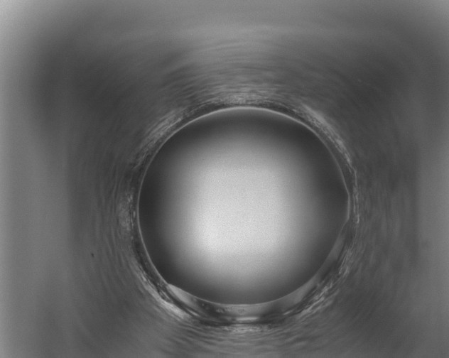 X0000060230105200511041241