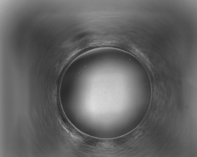 X0000060230107200511041241