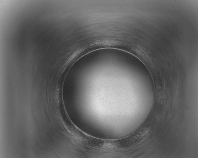 X0000060230111200511041241