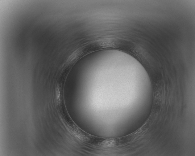 X0000060230124200511041241
