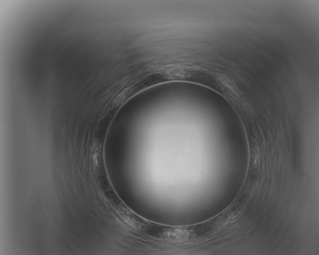X0000060230125200511041241