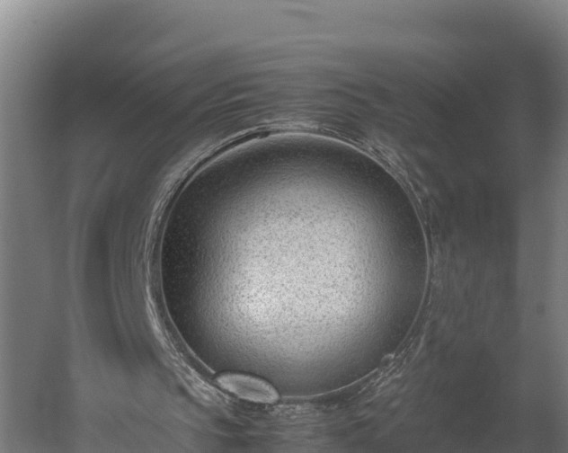 X0000060230145200511041239