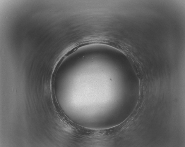 X0000060230148200511041239