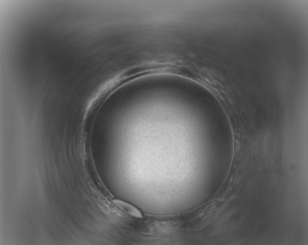 X0000060230149200511041239