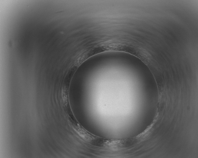 X0000060230186200511041240