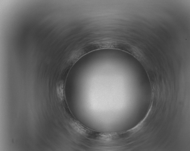 X0000060230190200511041240